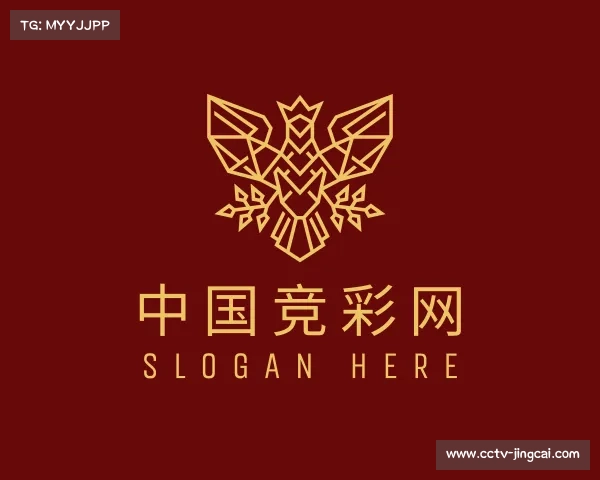 解读中国竞彩网